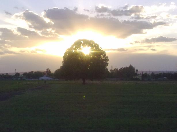 V�speras:la oraci�n de la tarde